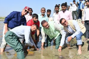 हरिद्वार में मखाना की खेती का स्वयं रोपण करते कृषि मंत्री गणेश जोशी